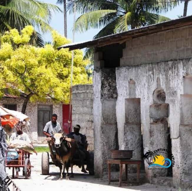 Nungwi Village Tour and Turtle Swim at The Lagoons Zanzibar - Practical Details and the Experience