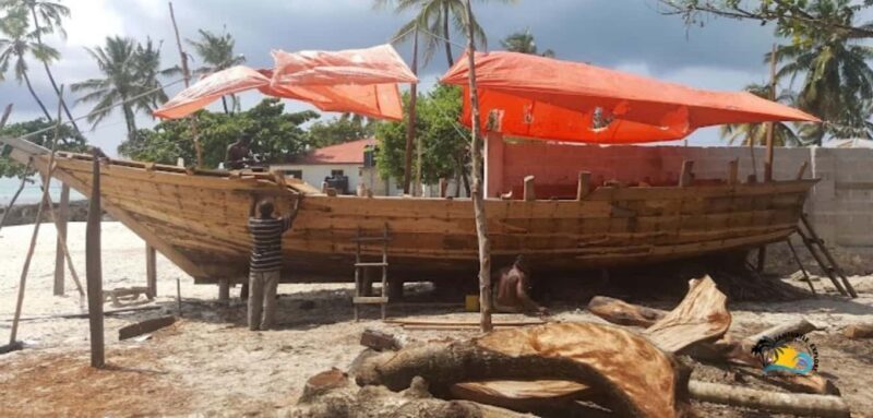 Nungwi Village Tour and Turtle Swim at The Lagoons Zanzibar - Final Thoughts