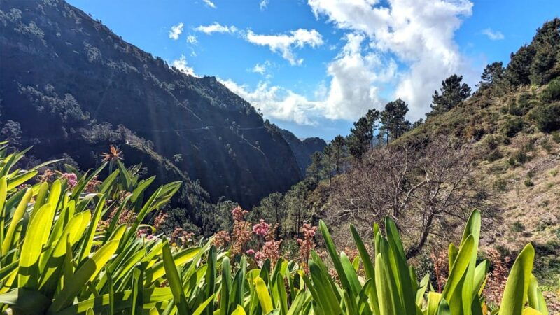 nuns-valley-private-4-hour-cabriolet-adventure