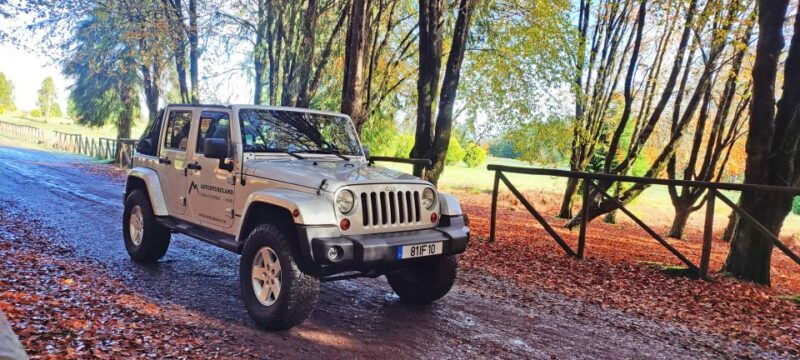 nuns-valley-sky-walk-private-vip-wrangler-tour-4x4