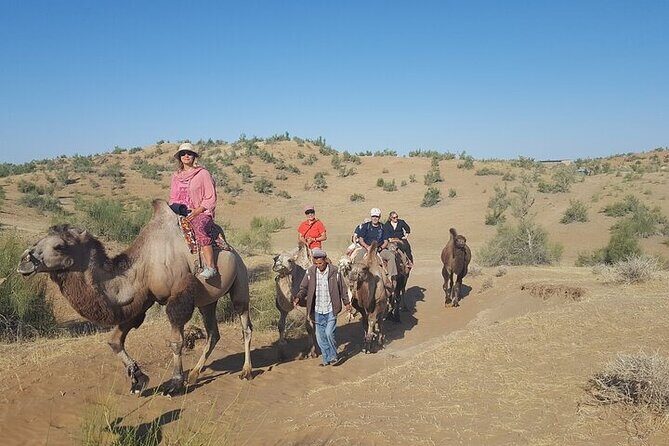 Nurata Mountain & Kyzyl-kum Desert 3 Day Tour From Samarkand or Bukhara - An In-Depth Look at the Nurata Mountain & Kyzyl-kum Desert Tour
