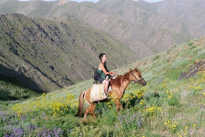 Nurata Mountain & Kyzyl-kum Desert 3 Day Tour From Samarkand or Bukhara - Final Thoughts