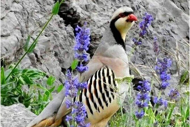 Nuratau Village Home Stay and Hiking tours from Bukhara - FAQ