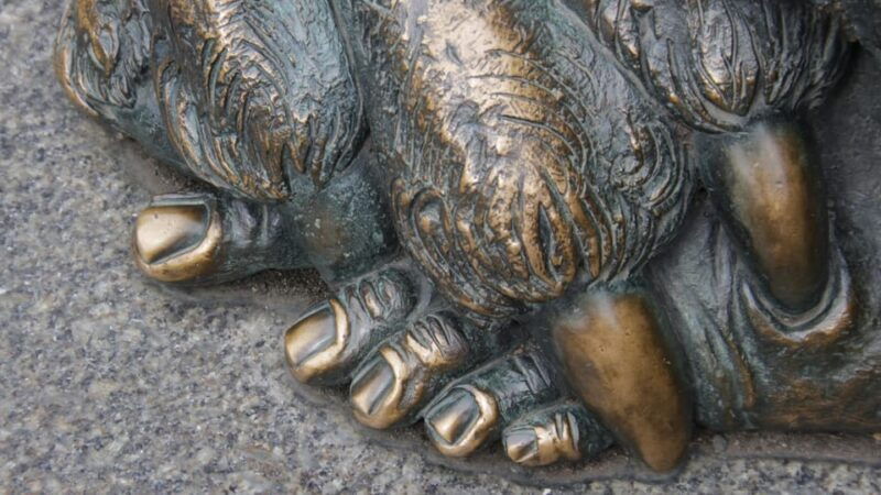 nuremberg-guided-old-town-discovery-walk-for-families