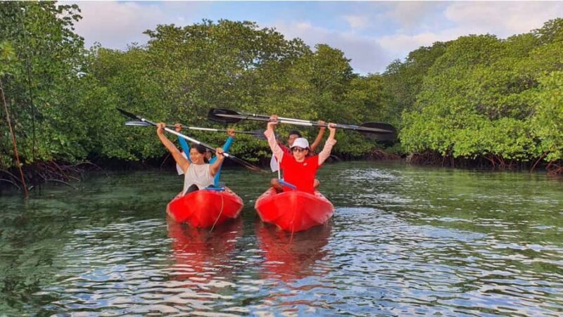 Nusa Dua: Suwung Mangrove Glass Bottom Boat Tour - The Value of the Tour