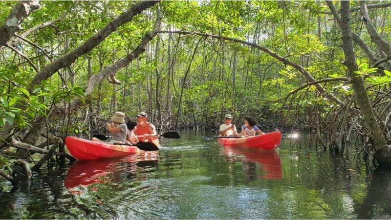 Nusa Dua: Suwung Mangrove Glass Bottom Boat Tour - Key Points