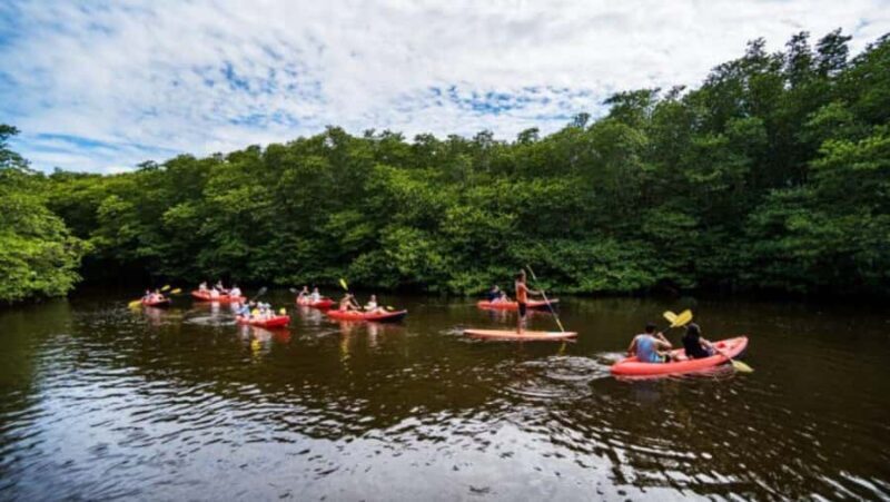 Nusa Dua: Suwung Mangrove Glass Bottom Boat Tour - What to Expect from the Tour
