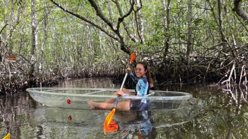 Nusa Dua: Suwung Mangrove Glass Bottom Boat Tour - Practical Details