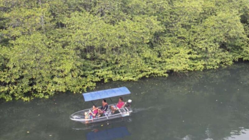 Nusa Dua: Suwung Mangrove Glass Bottom Boat Tour - Value & Overall Impression