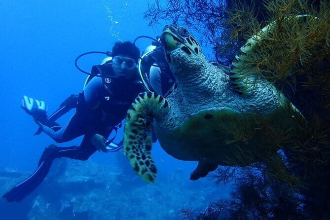 Nusa Dua Watersport : Parasailing Adventure, Tubing Ride, Banana and Fly Fish - Who Will Love This Tour?