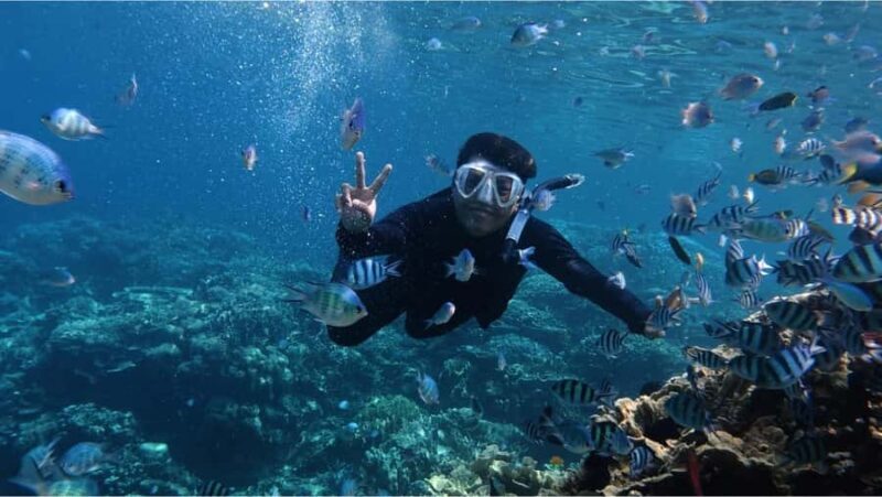 Nusa Dua: Watersports Packages and Turtle Conservation Tour - Key Points