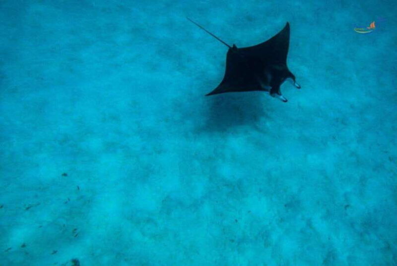 nusa-lembongan-and-nusa-penida-2-day-tour