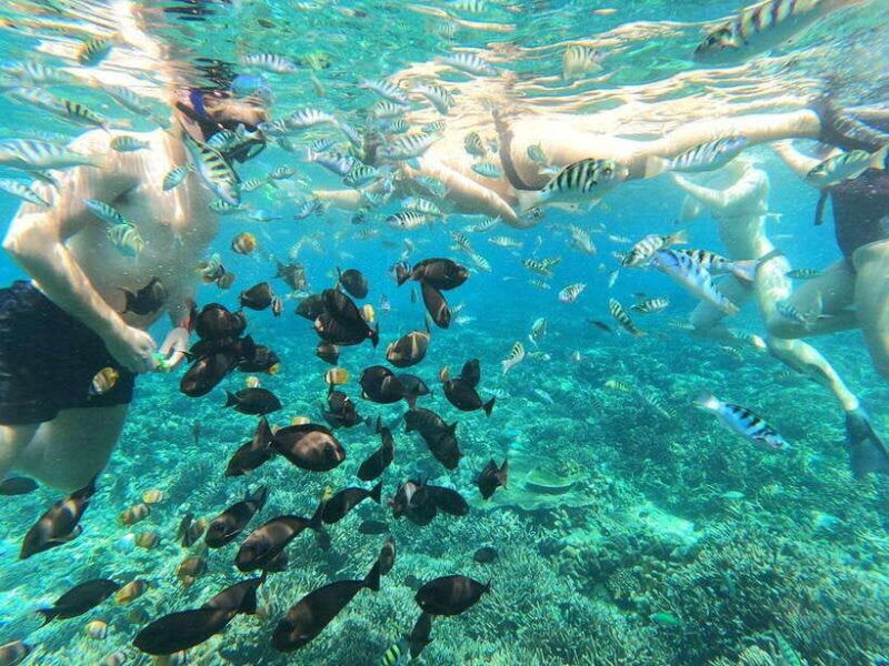 nusa-lembongan-and-nusa-penida-2-day-tour