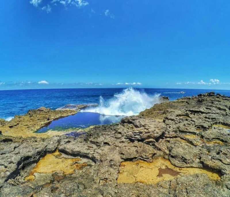 NUSA LEMBONGAN DAY TRIP + SNORKELING - Why Choose This Tour?