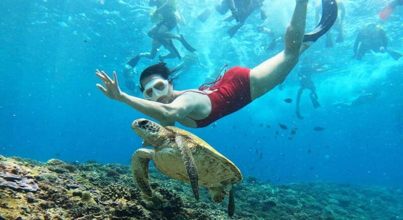 nusa-lembongan-from-bali-3-spots-snorkeling-islands-tour