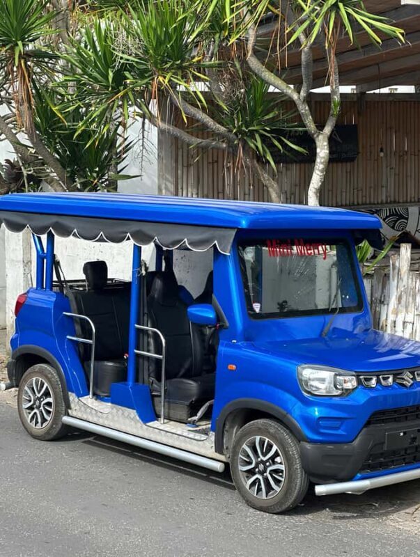 Nusa Lembongan: Gasoline Buggy Car Rental with Fuel - Key Points