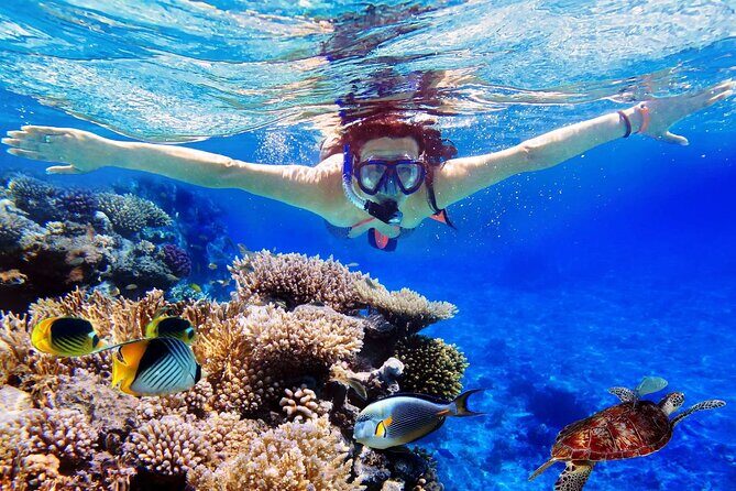 Nusa Lembongan Island and Snorkeling Adventure - FAQ