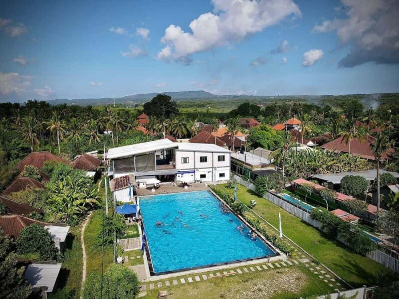 Nusa Lembongan: Scuba Diving Trip with Manta Ray and Sunfish - Introducing the Nusa Lembongan Scuba Experience