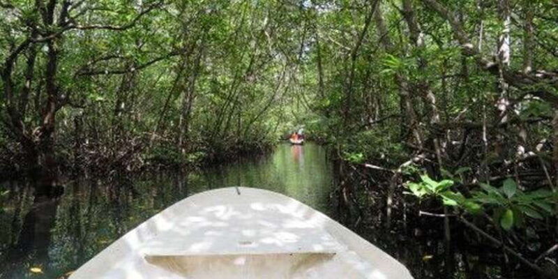nusa-lembongan-tour-island-and-mangrove-adventure