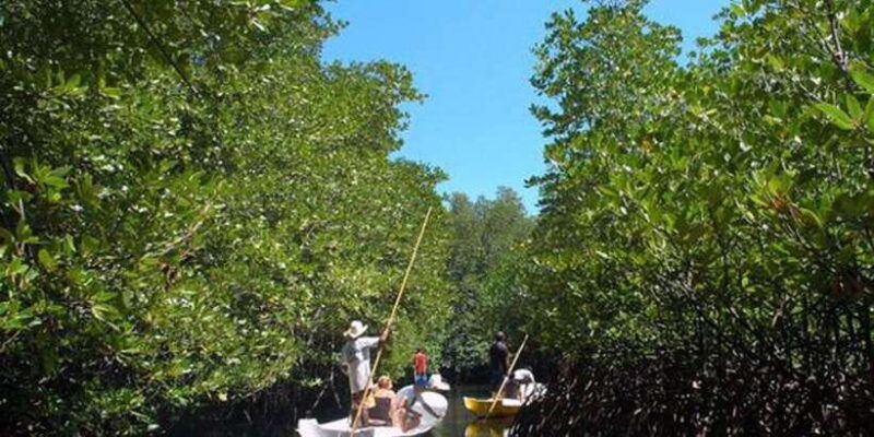 nusa-lembongan-tour-island-and-mangrove-adventure