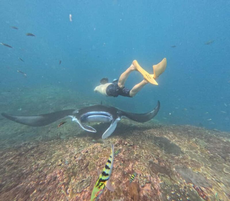 Nusa Penida: 3-Spot Snorkeling Experience & West Island Tour - The Land Tour: Exploring Bali’s Coastline