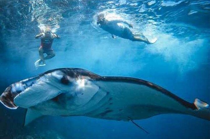 Nusa Penida 4 Spot Snorkeling Adventure and Land Tour Combo - The Sum Up