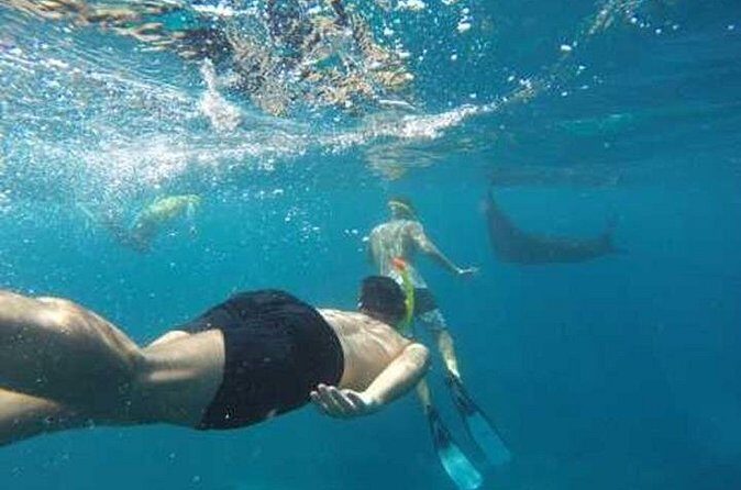 Nusa Penida 4 Spot Snorkeling Adventure and Land Tour Combo - FAQs