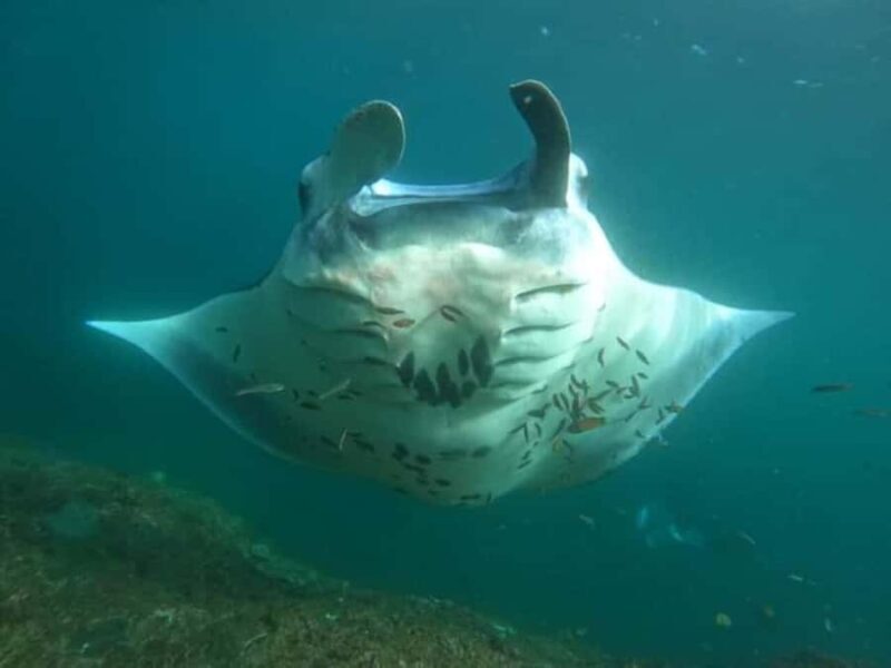 NUSA PENIDA ALL-INCLUSIVE WEST TRIP WITH 3 SPOT SNORKLING - Key Points