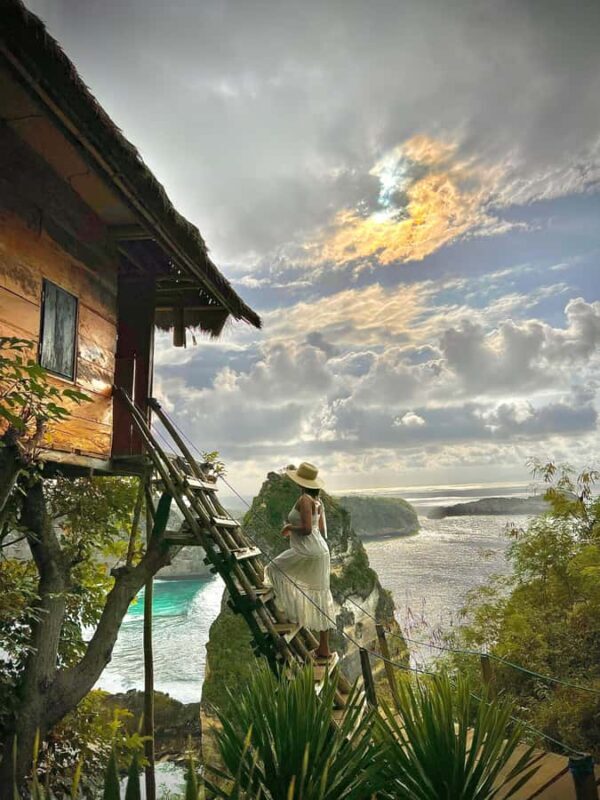 Nusa Penida East Island Private Tour with Tree House - The Value: Is It Worth It?