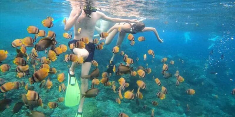 Nusa Penida: Eco-conscious West & East Tour with Snorkeling - FAQ