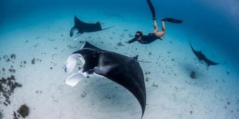 Nusa Penida: Eco-conscious West & East Tour with Snorkeling - Final Thoughts