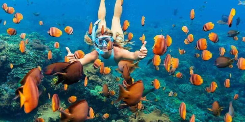 nusa-penida-full-day-guided-snorkeling-island-tour