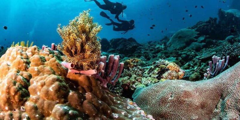 nusa-penida-full-day-guided-snorkeling-island-tour