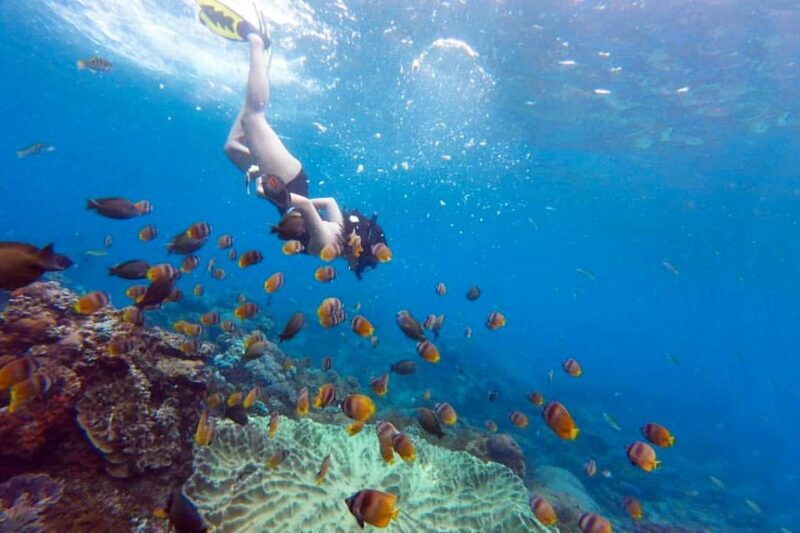 nusa-penida-full-day-guided-snorkeling-island-tour