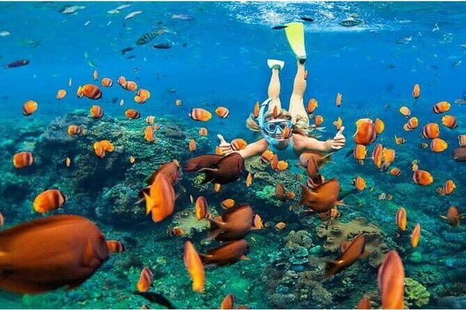 Nusa Penida Full Day Tour West Island / Snorkeling To 4 Spot - Authentic Experiences and Tips