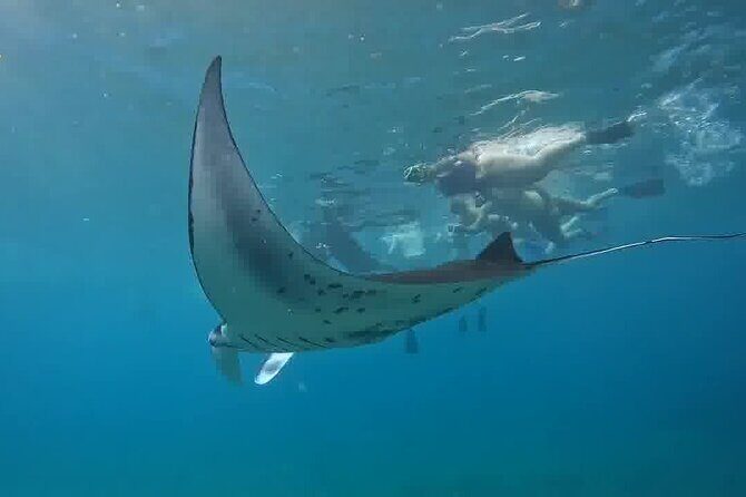 Nusa Penida Land Tour and 4 Points Snorkeling with Manta - Key Points  