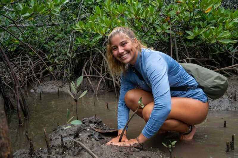 Nusa Penida/Lembongan: Mangrove Reforestation & Kanoe Tour - The Breakdown: What to Expect from the Tour