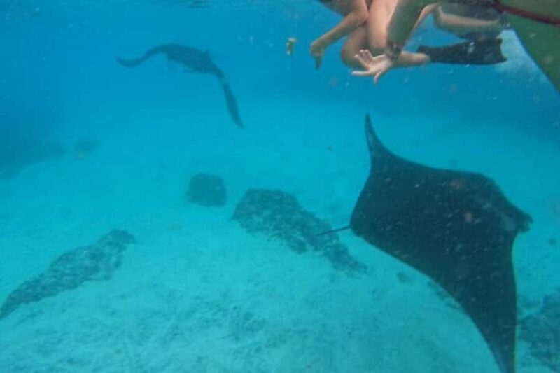 Nusa Penida: Manta Point Snorkeling with Lunch and Pick Up - FAQs