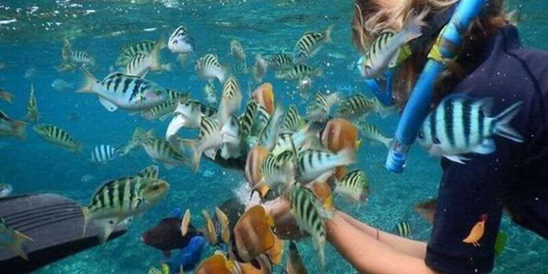 nusa-penida-package-2d1n-snorkeling-and-tour-island