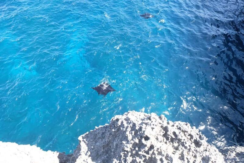 Nusa Penida: Private Car with Driver & Opt Fastboat Tickets - Key Points