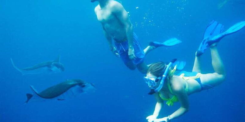 nusa-penida-private-manta-point-snorkeling-and-land-tour