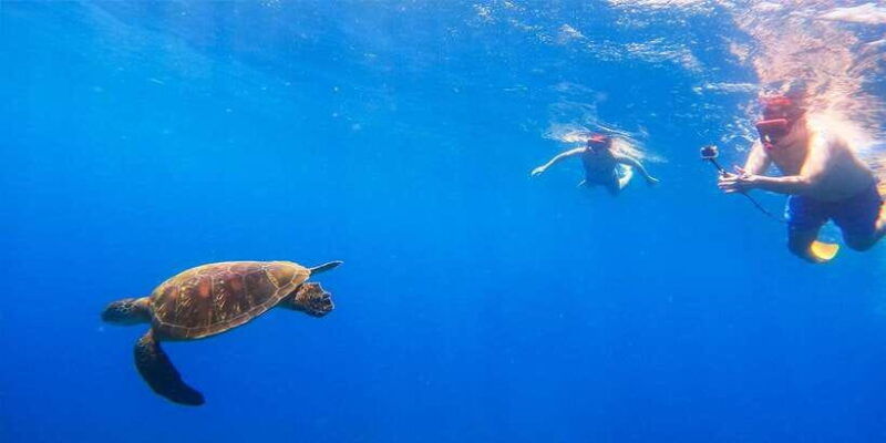 nusa-penida-private-manta-point-snorkeling-and-land-tour