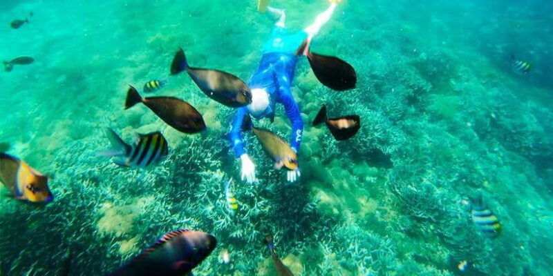 nusa-penida-private-manta-point-snorkeling-and-land-tour