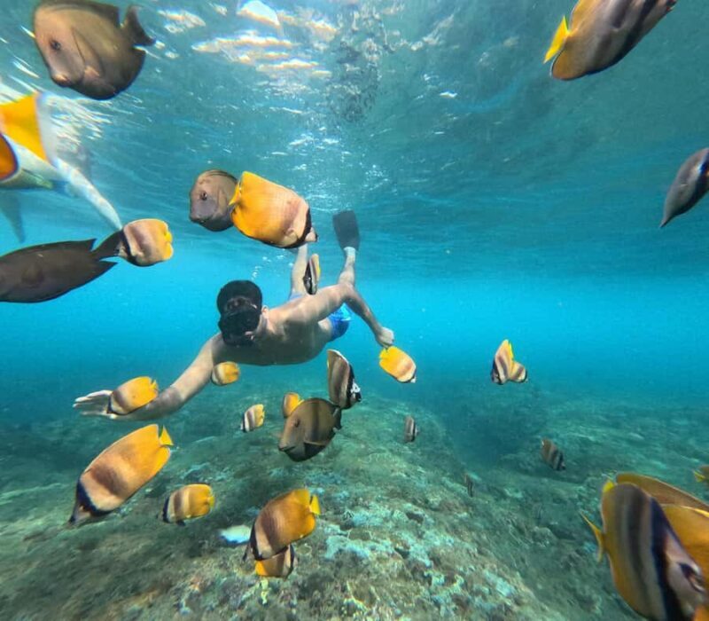 Nusa Penida: Private Snorkel, Chill Stop & Kelingking Sunset - Final Thoughts