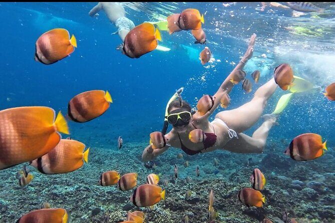 Nusa Penida Sharing Snorkeling with West Tour - A Realistic Look at the Itinerary