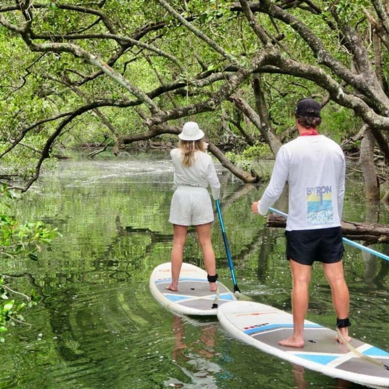 Nusa Penida: Snorkel 3 Spots w/ GoPro & Mangrove Paddle Tour - Honest Feedback from Reviewers