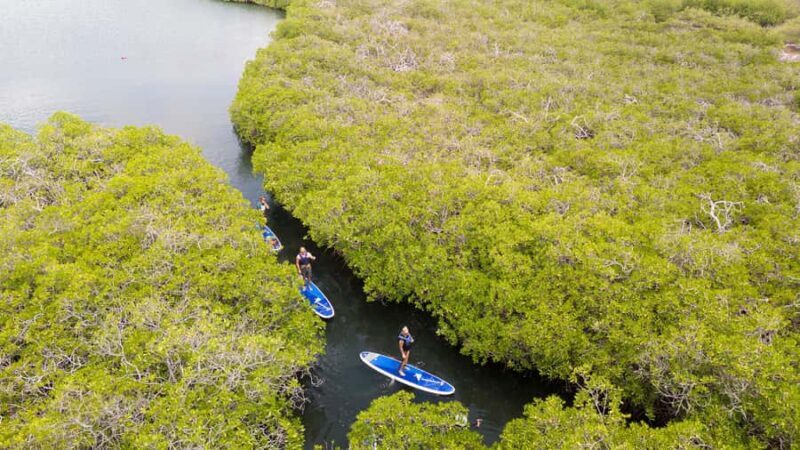 Nusa Penida: Snorkel 3 Spots w/ GoPro & Mangrove Paddle Tour - Final Thoughts: Is it Worth It?