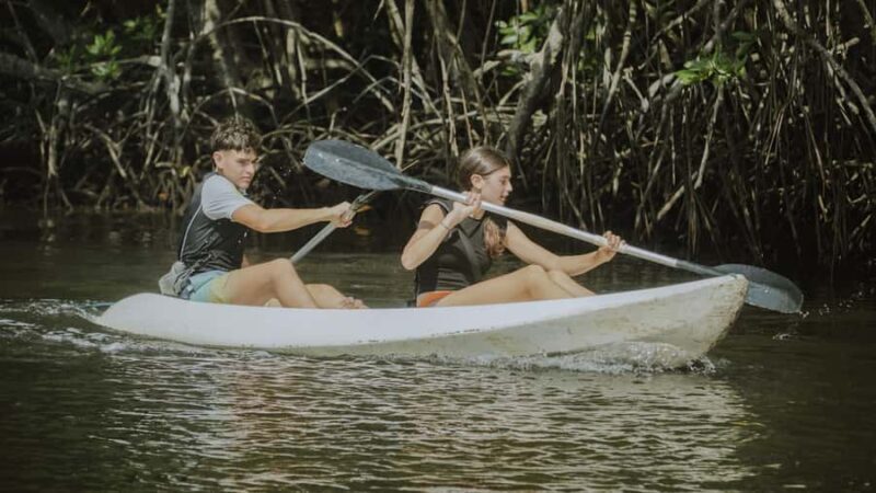 Nusa Penida: Snorkeling 3 Spots with GoPro & Kayak Mangroves - Final thoughts