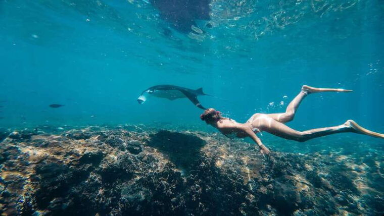 nusa-penida-snorkeling-3-spots-with-gopro-west-land-tour