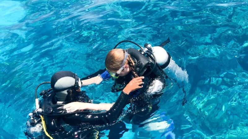 Nusa Penida: Snorkeling and Diving Adventure - The Experience in Detail